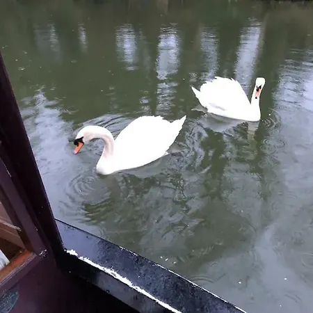 Cosy Narrowboat Near Dublin *